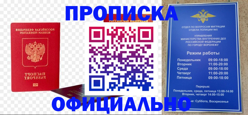 прописка иностранных граждан в Арамили